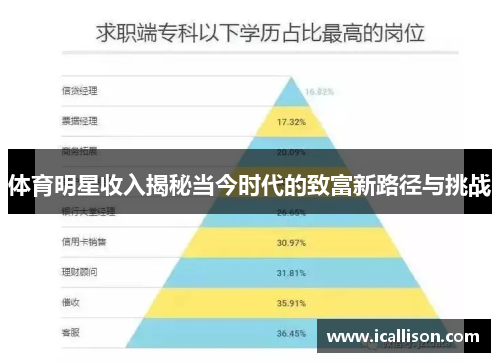 体育明星收入揭秘当今时代的致富新路径与挑战